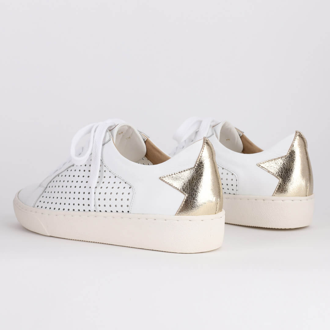 READY OR NOT - gold star sneakers