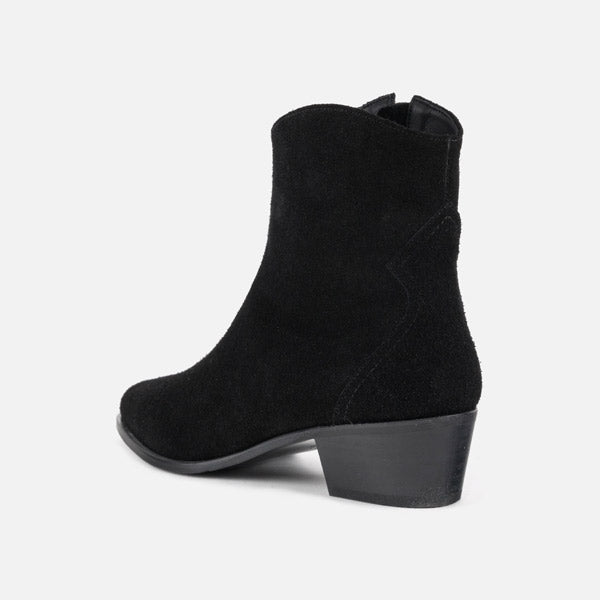 TAYLOR - ankle boot